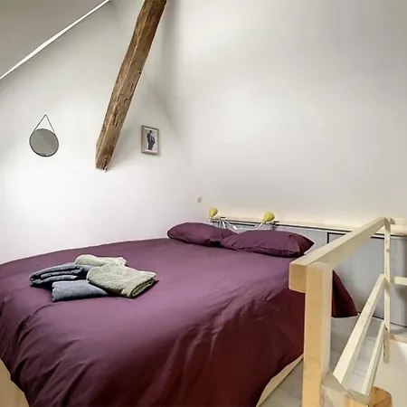 Chez Mily Joli Petit Duplex Plein Centre Cotteret Draps Et Serviettes Fournis Appartamento